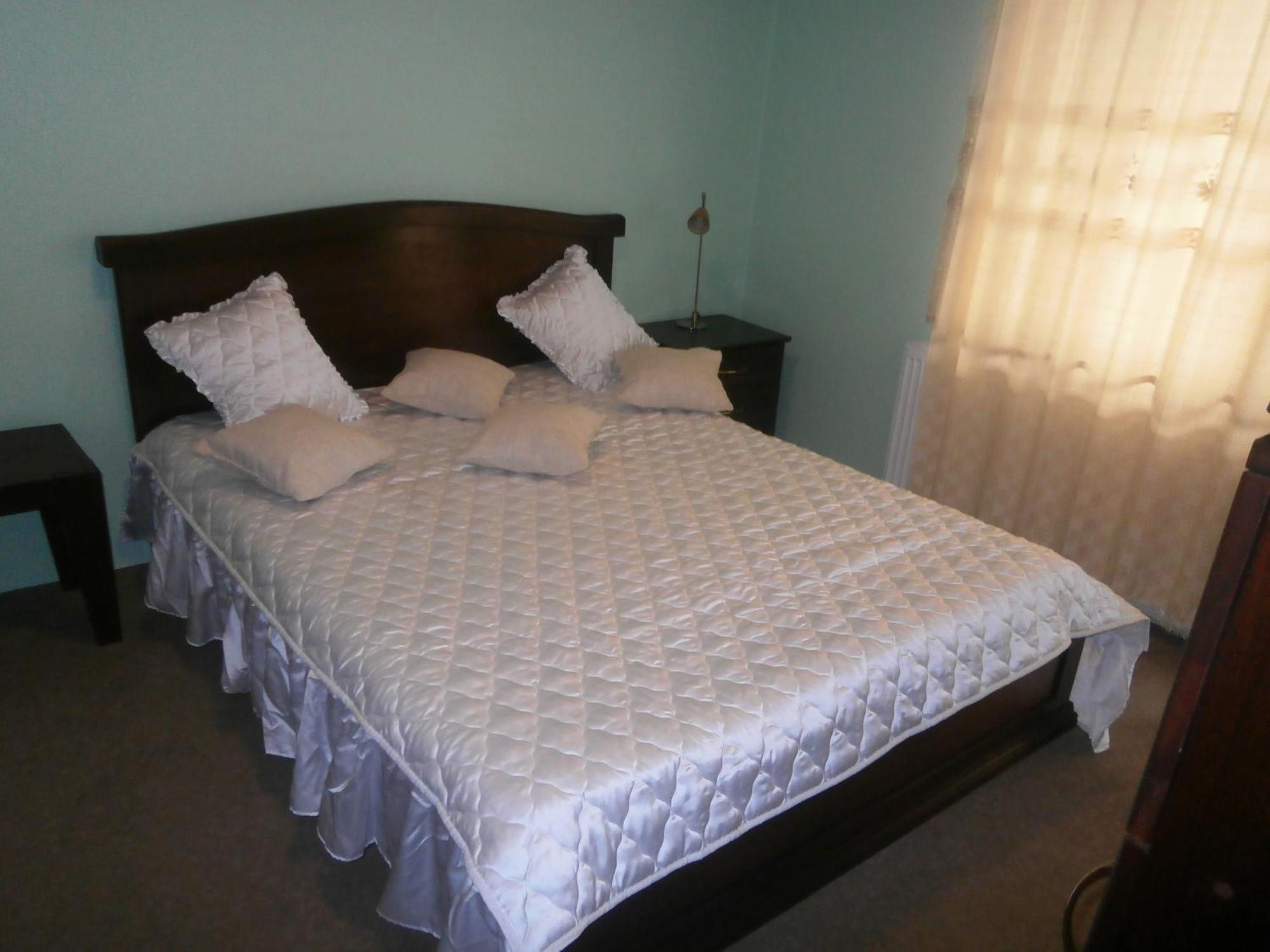 Hotel Vila Mitic Luxx Spa Centar Leskovac  Extérieur photo