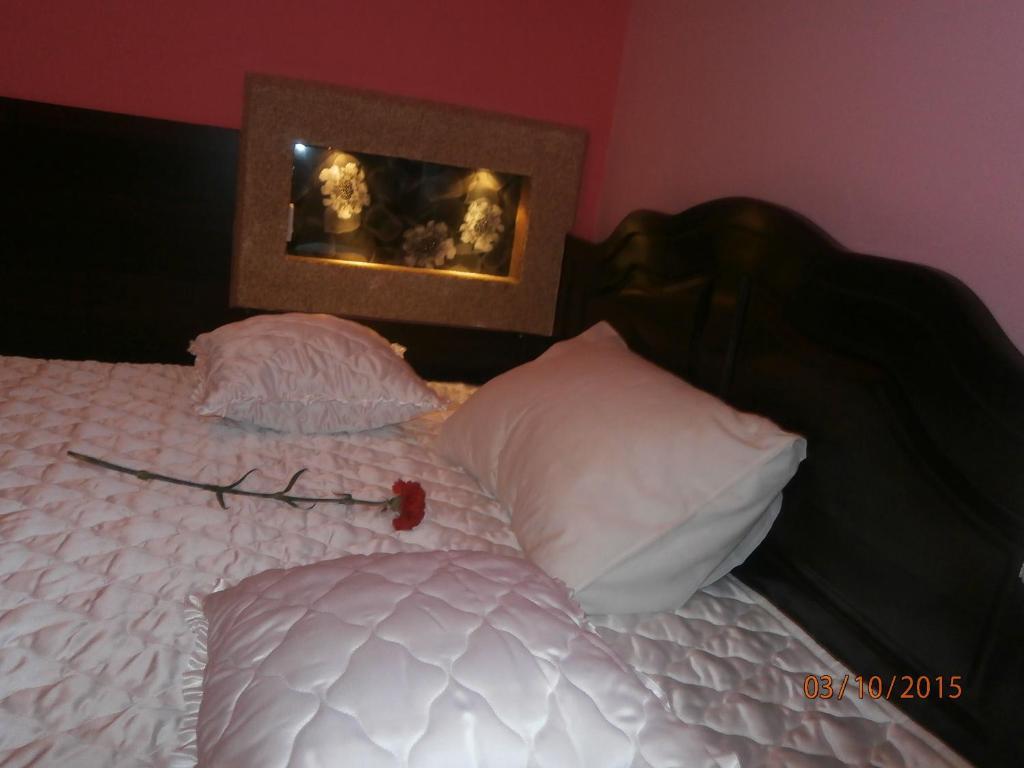 Hotel Vila Mitic Luxx Spa Centar Leskovac  Extérieur photo