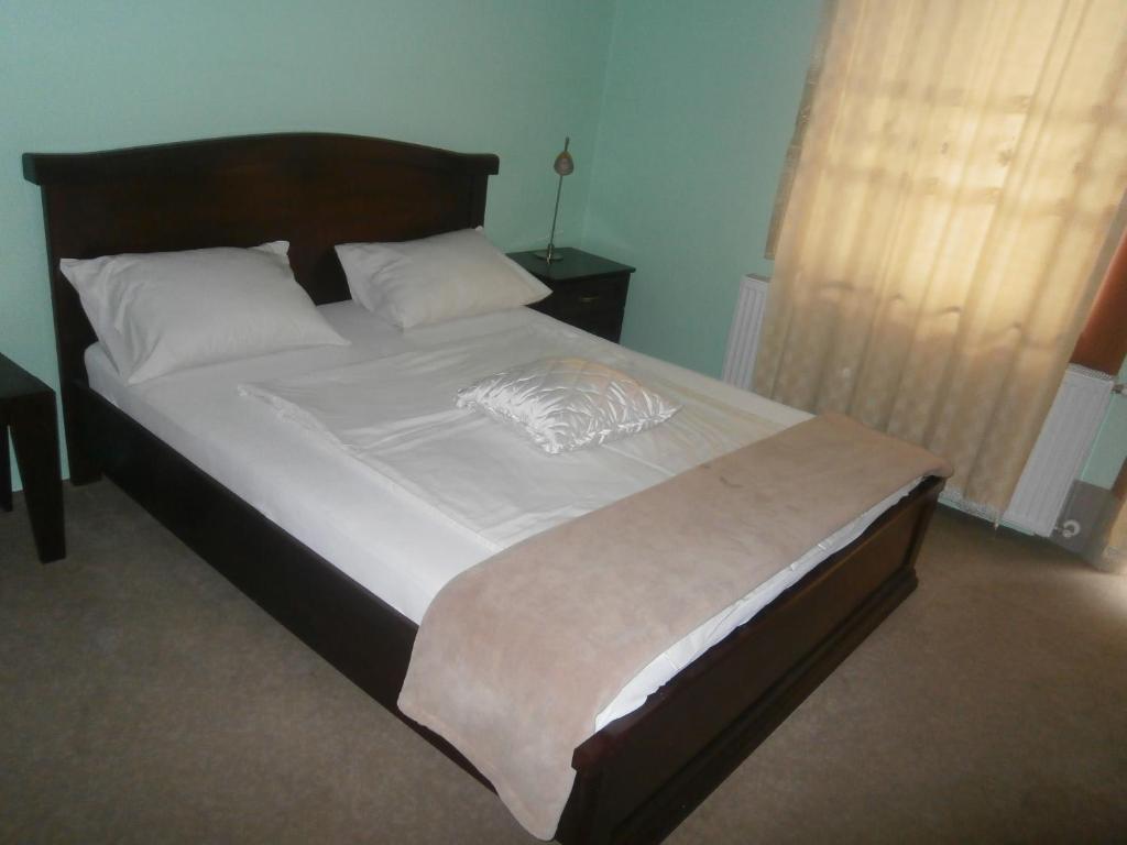 Hotel Vila Mitic Luxx Spa Centar Leskovac  Extérieur photo